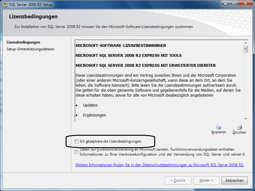 TPS Install SQL Server 2 Lizenz.png