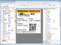 FastReport BspEtikett 02 Designer.png